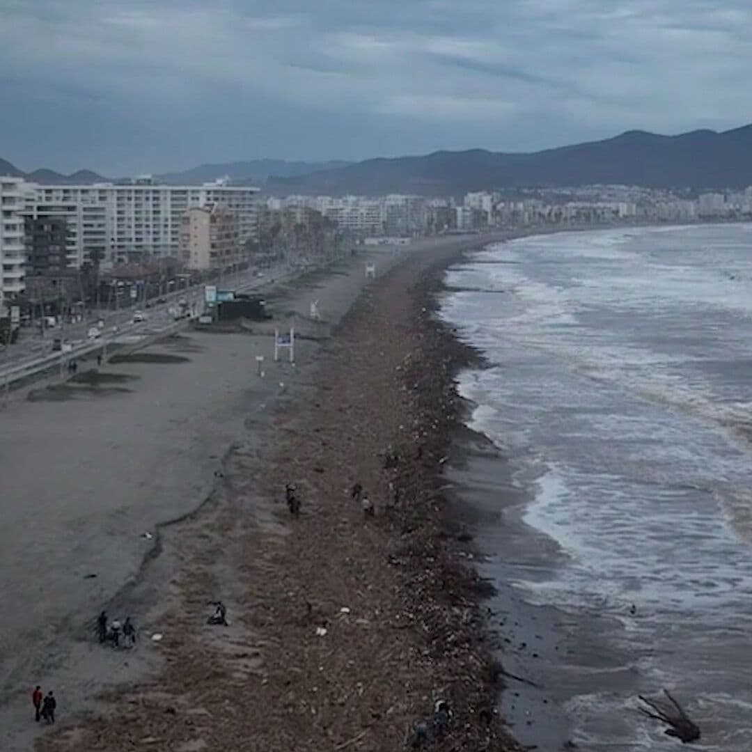 Capa de Basura Cubre Playa de Chile