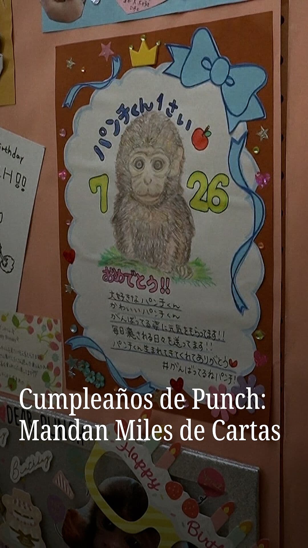 Cumpleaños de Punch: Le Mandan Miles de Cartas