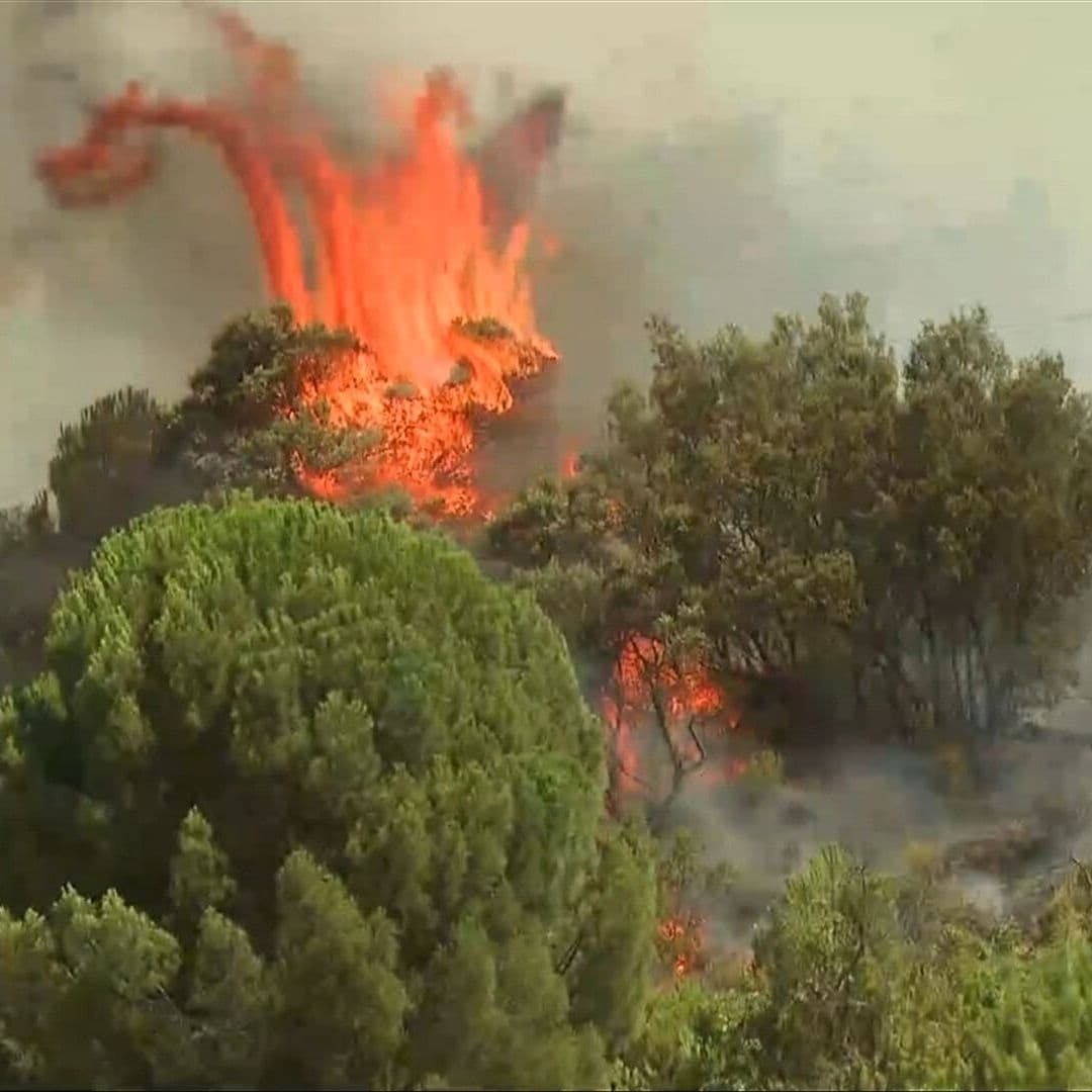 Declaran Estado de Emergencia por Incendios Forestales en España