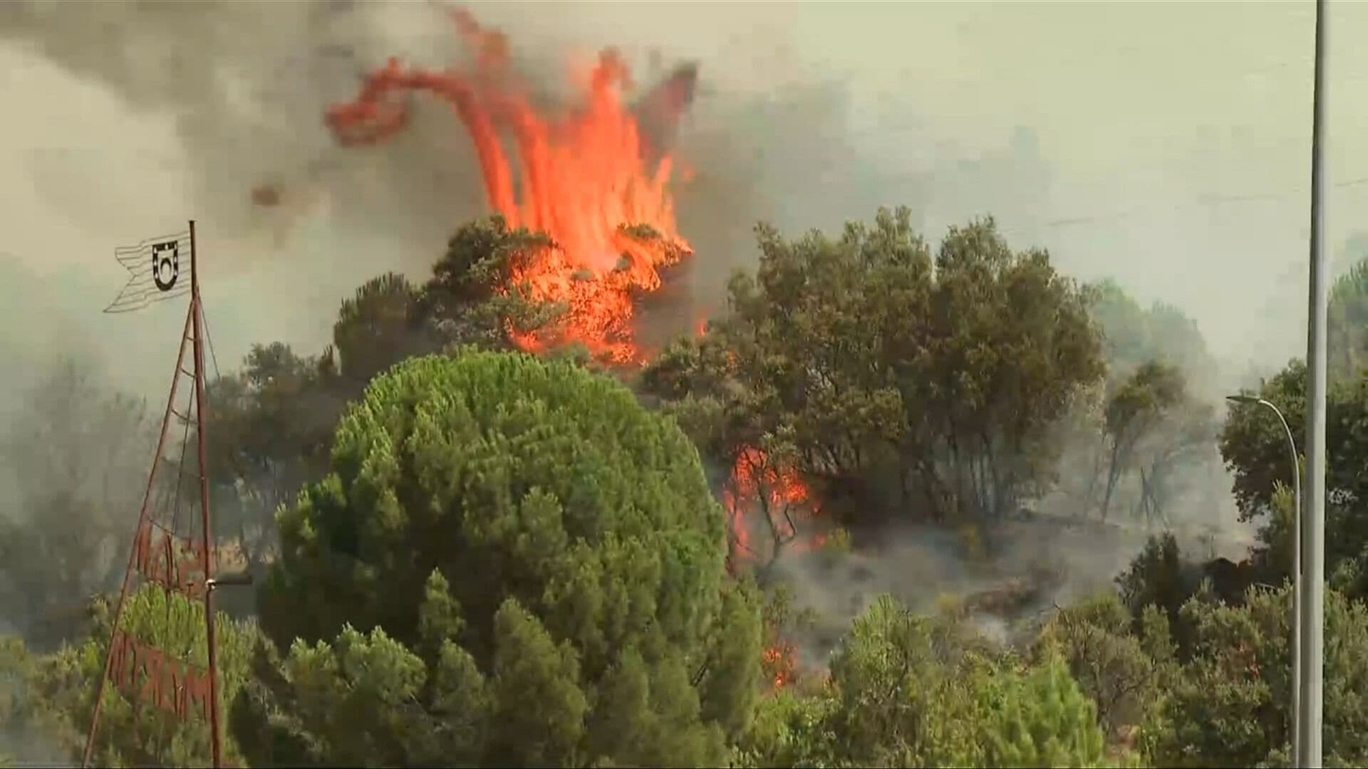 Declaran Estado de Emergencia por Incendios Forestales en España
