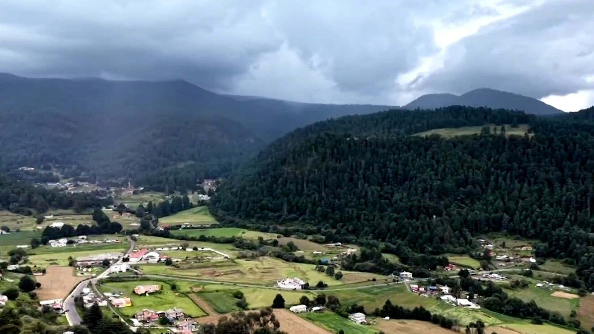 Talamontes Amenazan Más de 7 Mil Hectáreas de Bosque en Ocoyoacac, Edomex