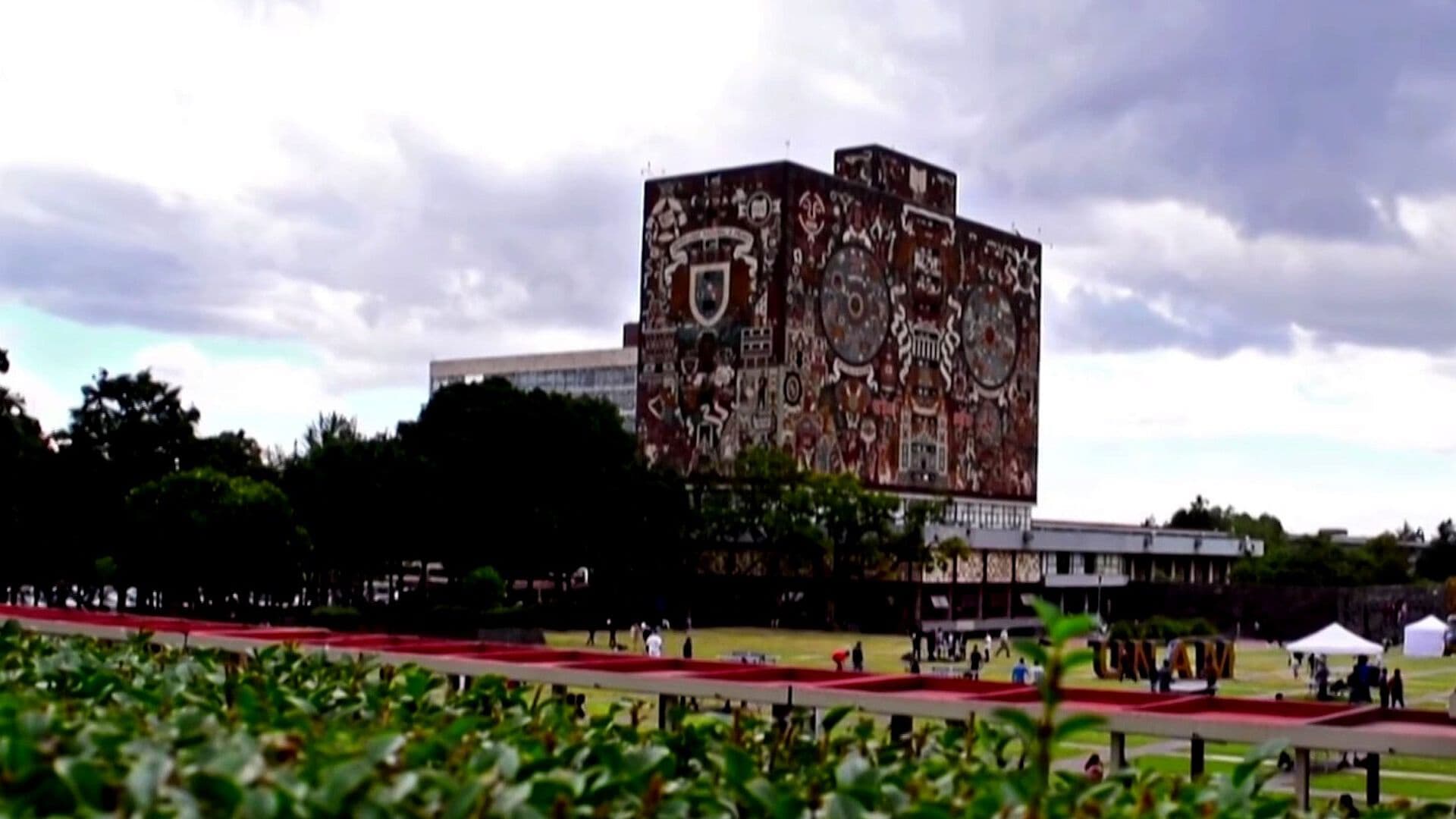UNAM Suspendió Inscripciones a Licenciatura Tras Detectar Posibles Trampas con IA