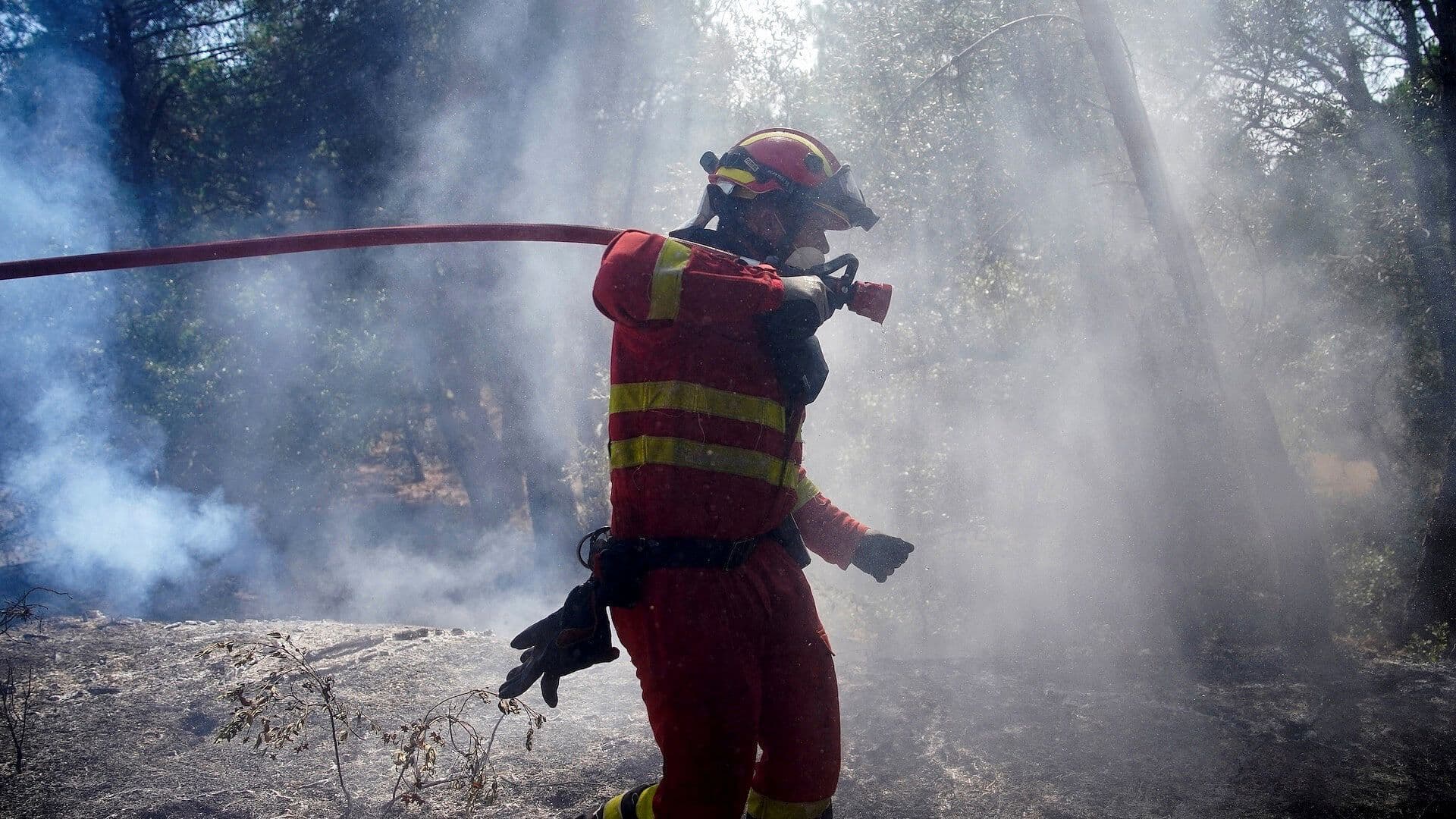 Incendios en España Arrasaron 77 Mil Hectáreas y Obligaron a Evacuar a 88 Mil Personas