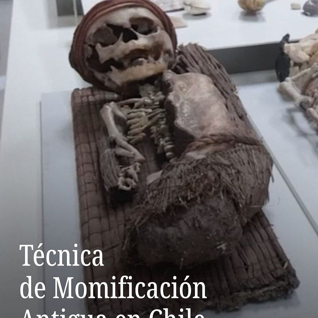 Técnica de Momificación Antigua en Chile