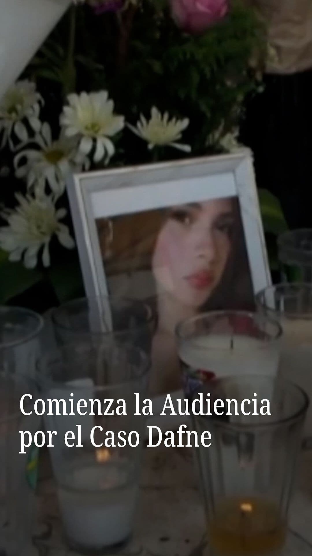 Comienza la Audiencia por el Caso Dafne