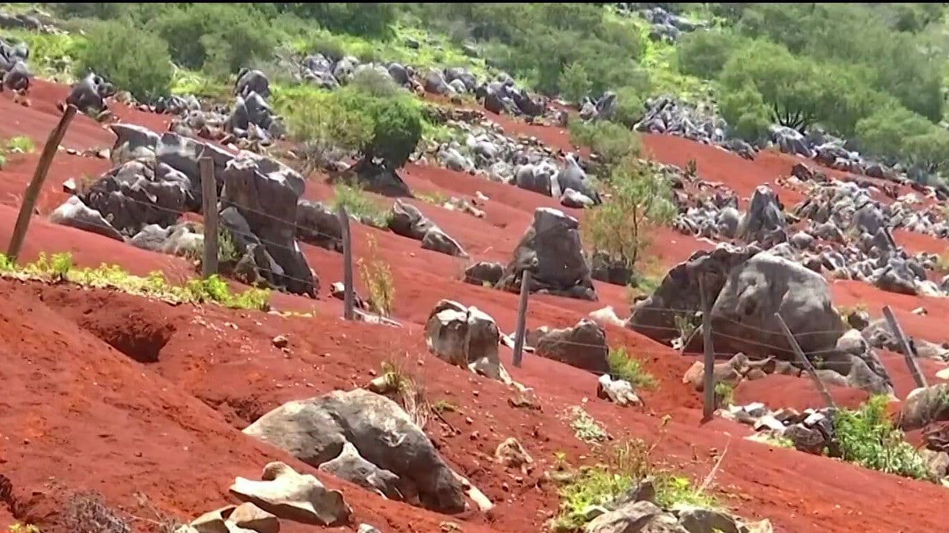 Dunas de Pacula en Hidalgo: El Paisaje Rojo que Escondía un Mar de Hace Millones de Años