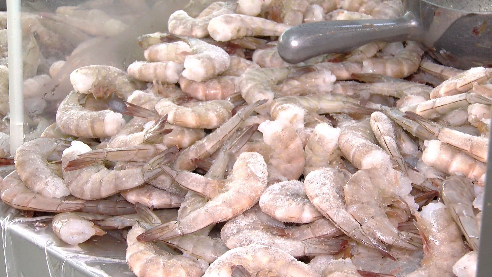 Altas Temperaturas y Vacaciones Incrementan Venta de Mariscos en Tijuana