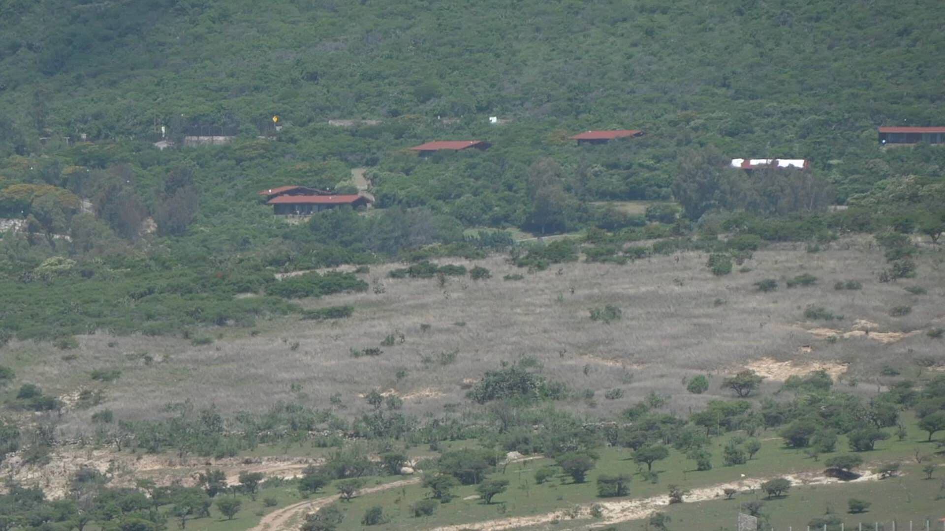 Trabajan en el Rescate de la Sierra de Lobos con Programa de Reforestación en León