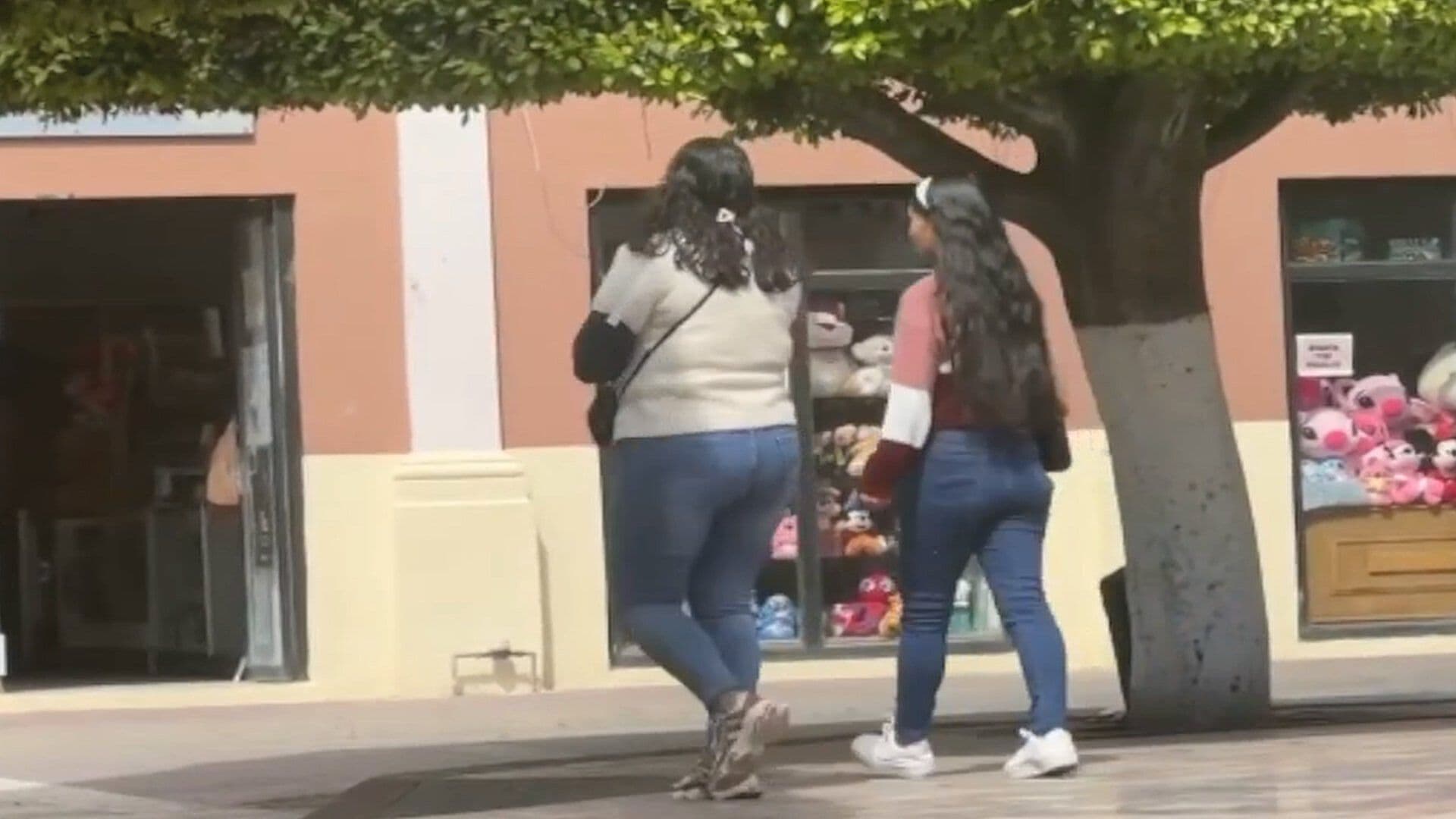 Silao Registra Más de 300 Casos de Violencia Contra la Mujer en el 2026