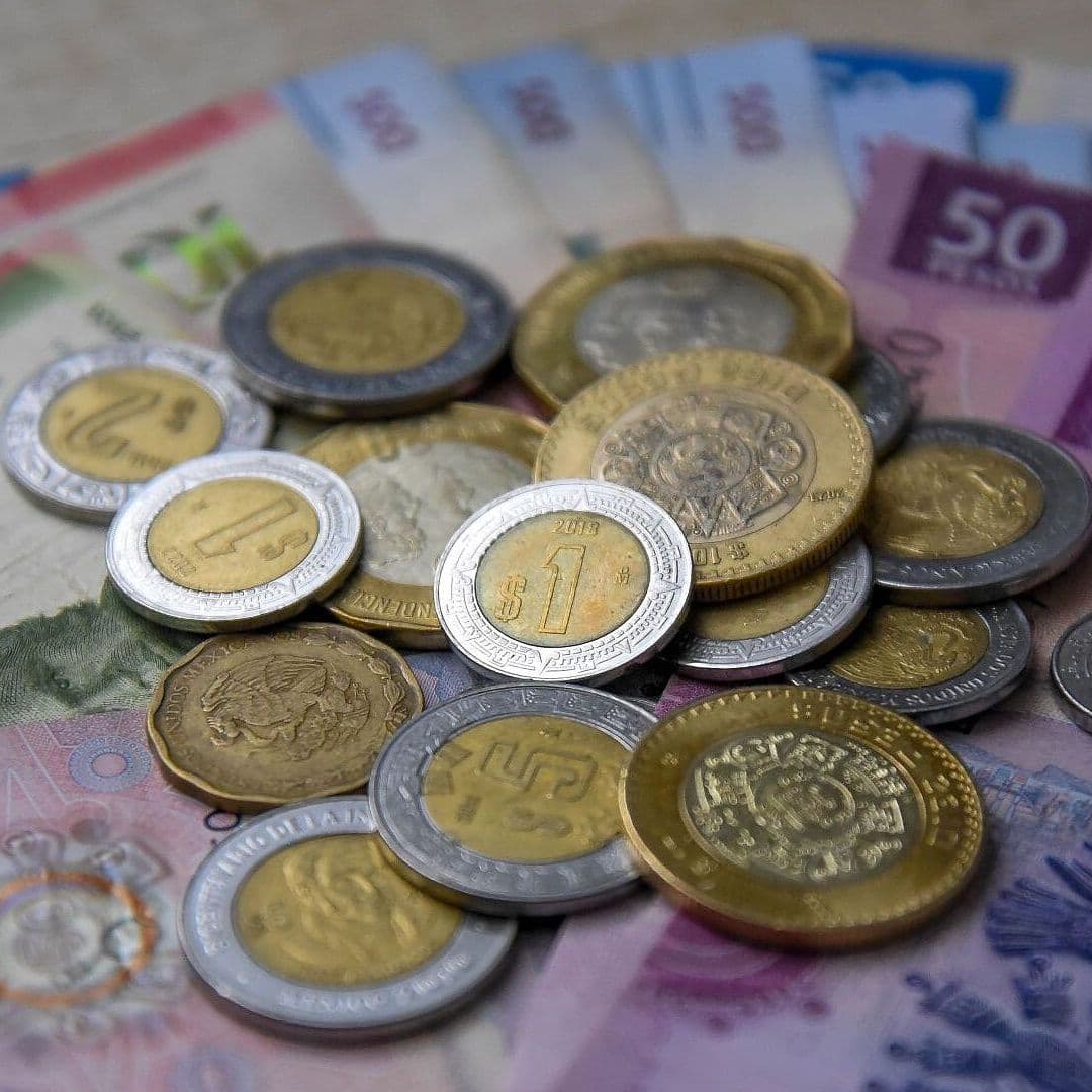 CDMX Logra Recaudación Extraordinaria del Impuesto Predial, ¿Cómo lo Logró?