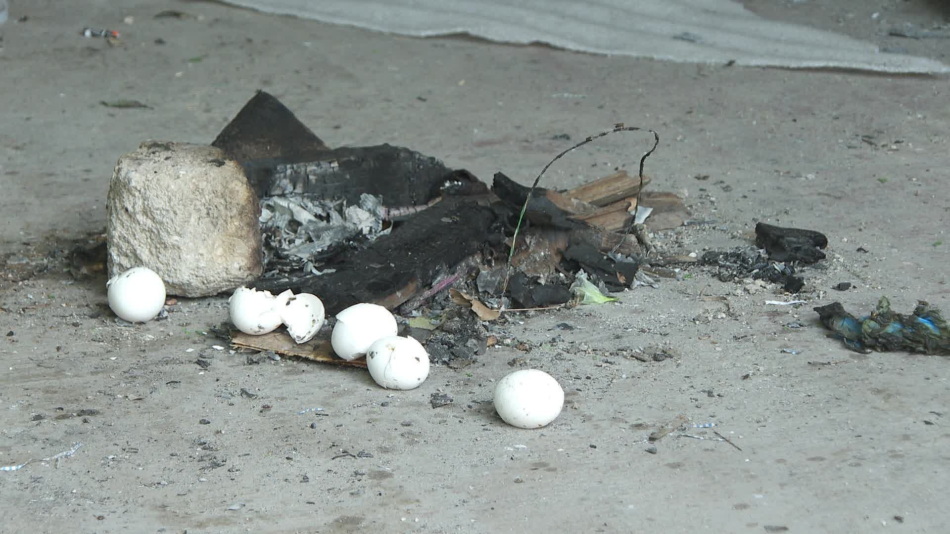 Señalados de Comer Carne de Perro y Gato Vivían en una Finca Abandonada de Tlaquepaque