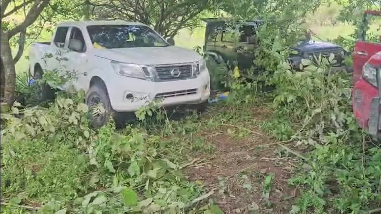 Esto Se Sabe Sobre El Posible Campo De Adiestramiento Criminal En Puerto Vallarta, Jalisco