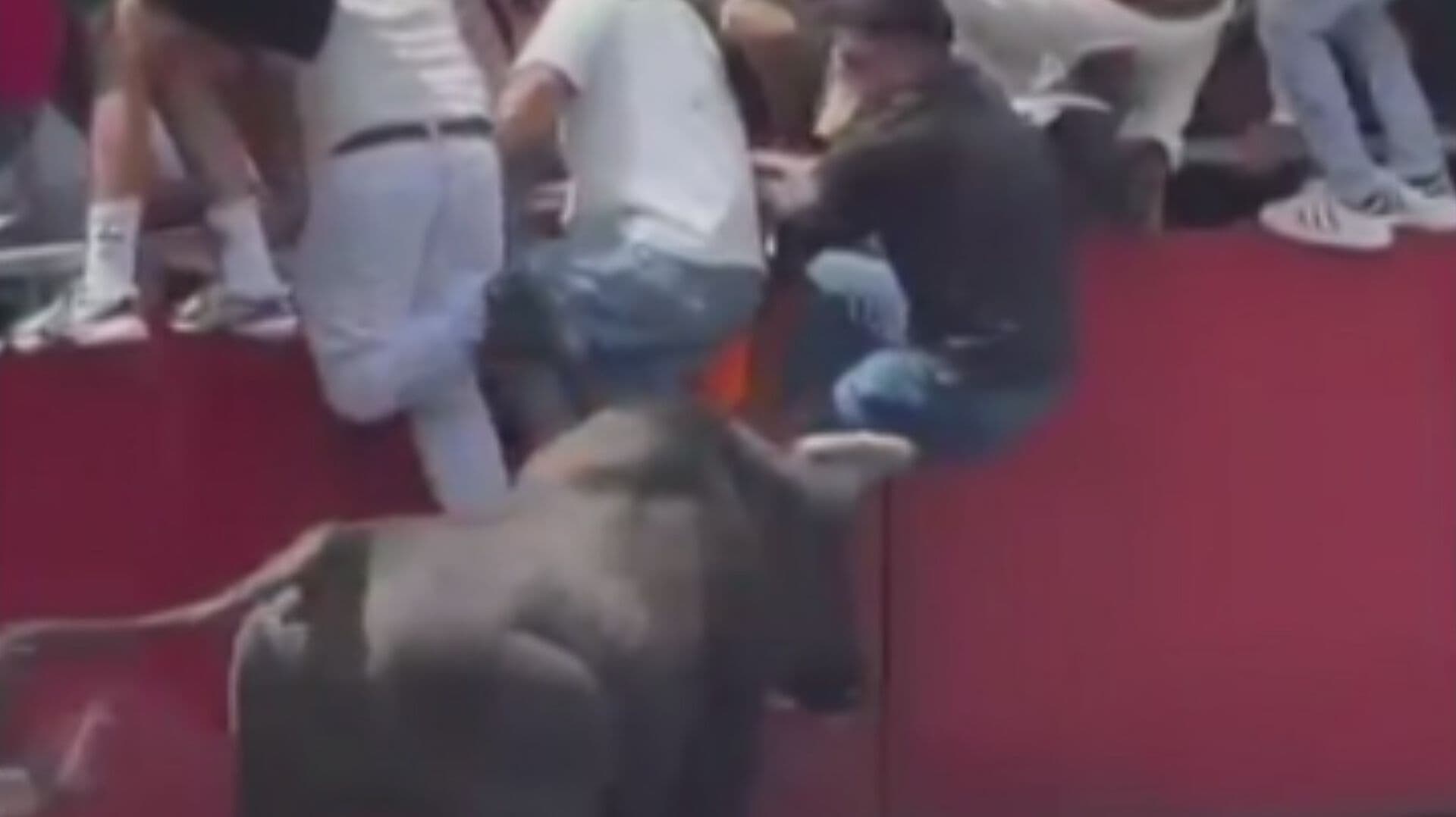 ¡A Correr! Sueltan Nueve Toros en la Tradicional Tetlada en Tlaxcala