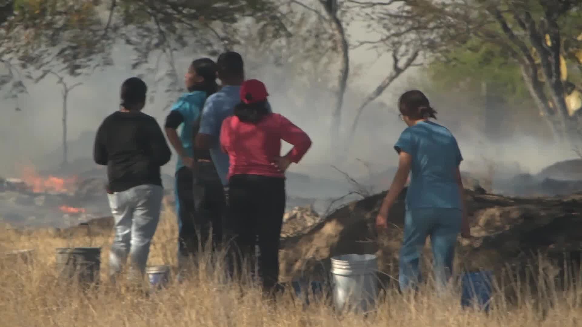 San Luis Potosí Cerró Como el Séptimo Estado con Más Afectaciones por Incendios Forestales