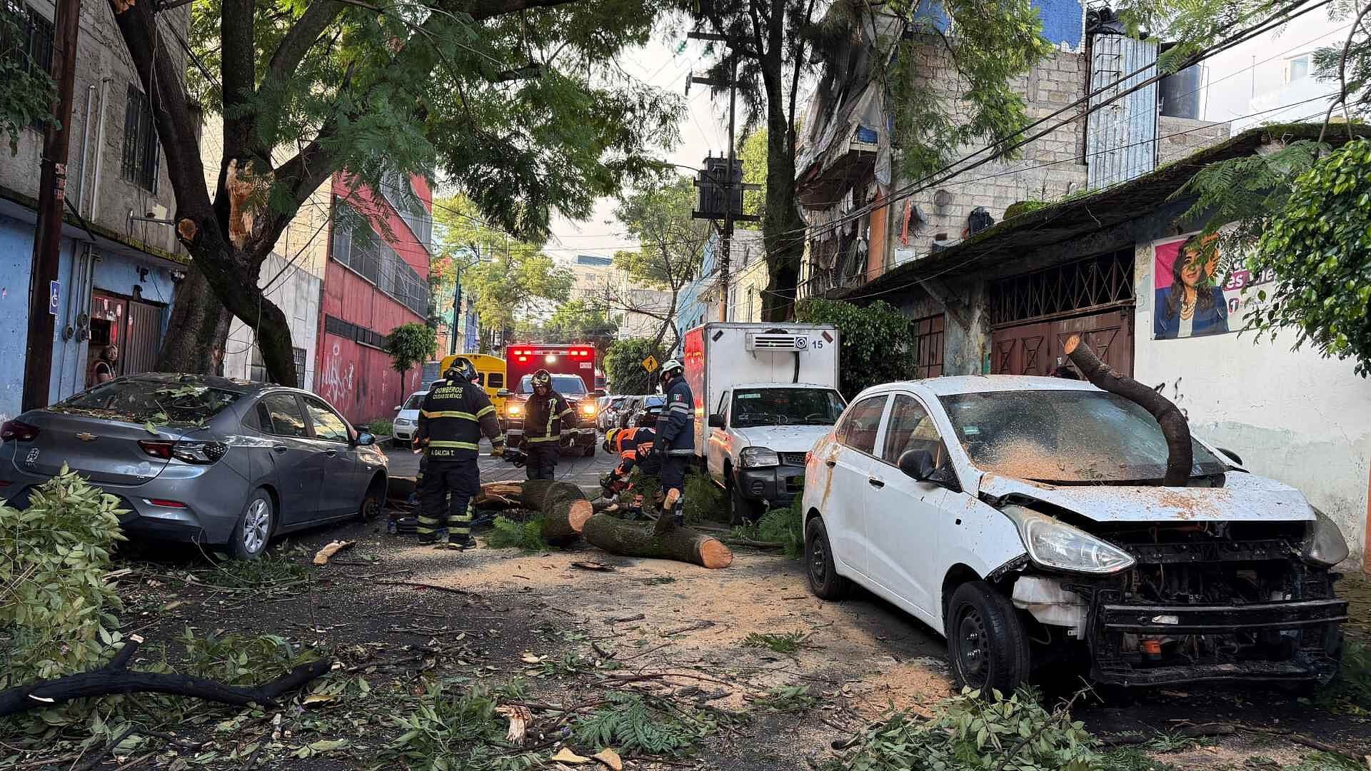 Caída de Árboles Deja Vehículos Dañados Tras Fuertes Lluvias en CDMX