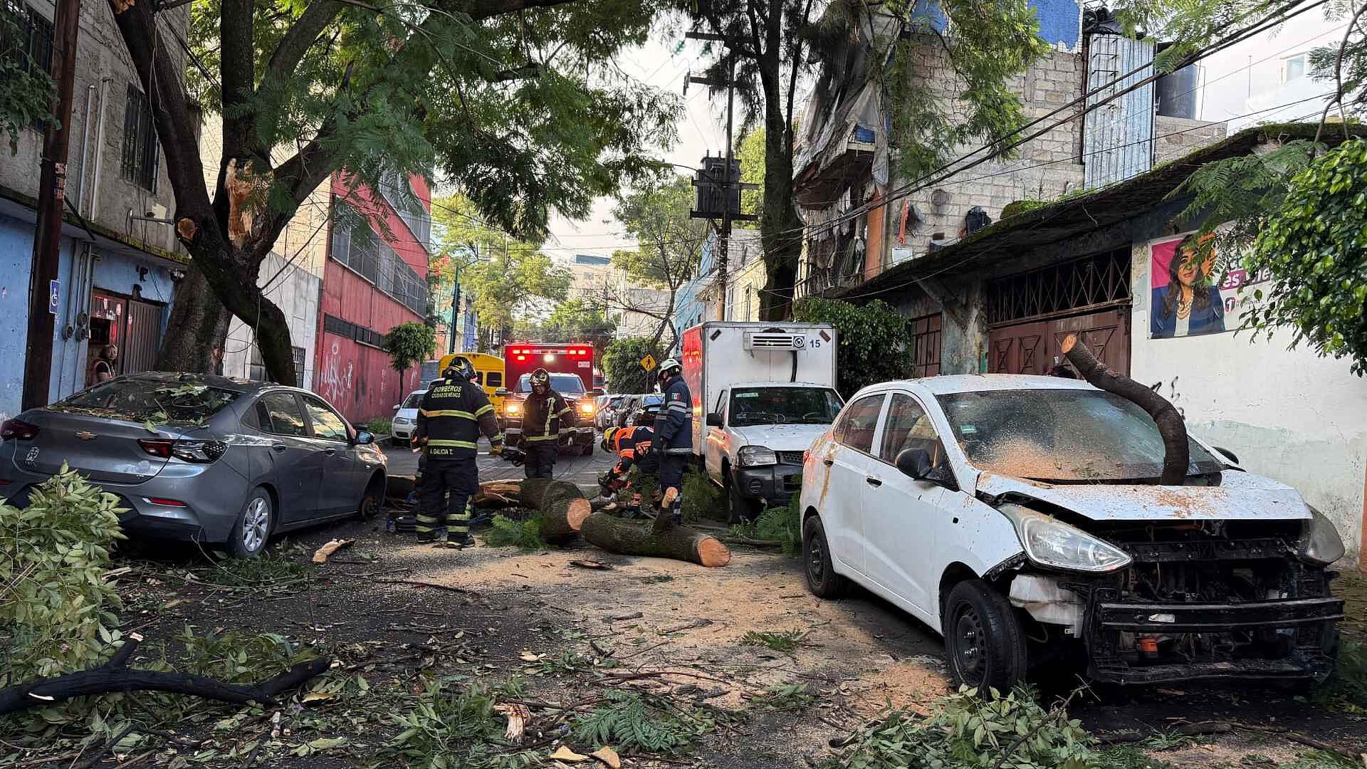Caída de Árboles Deja Vehículos Dañados Tras Fuertes Lluvias en CDMX