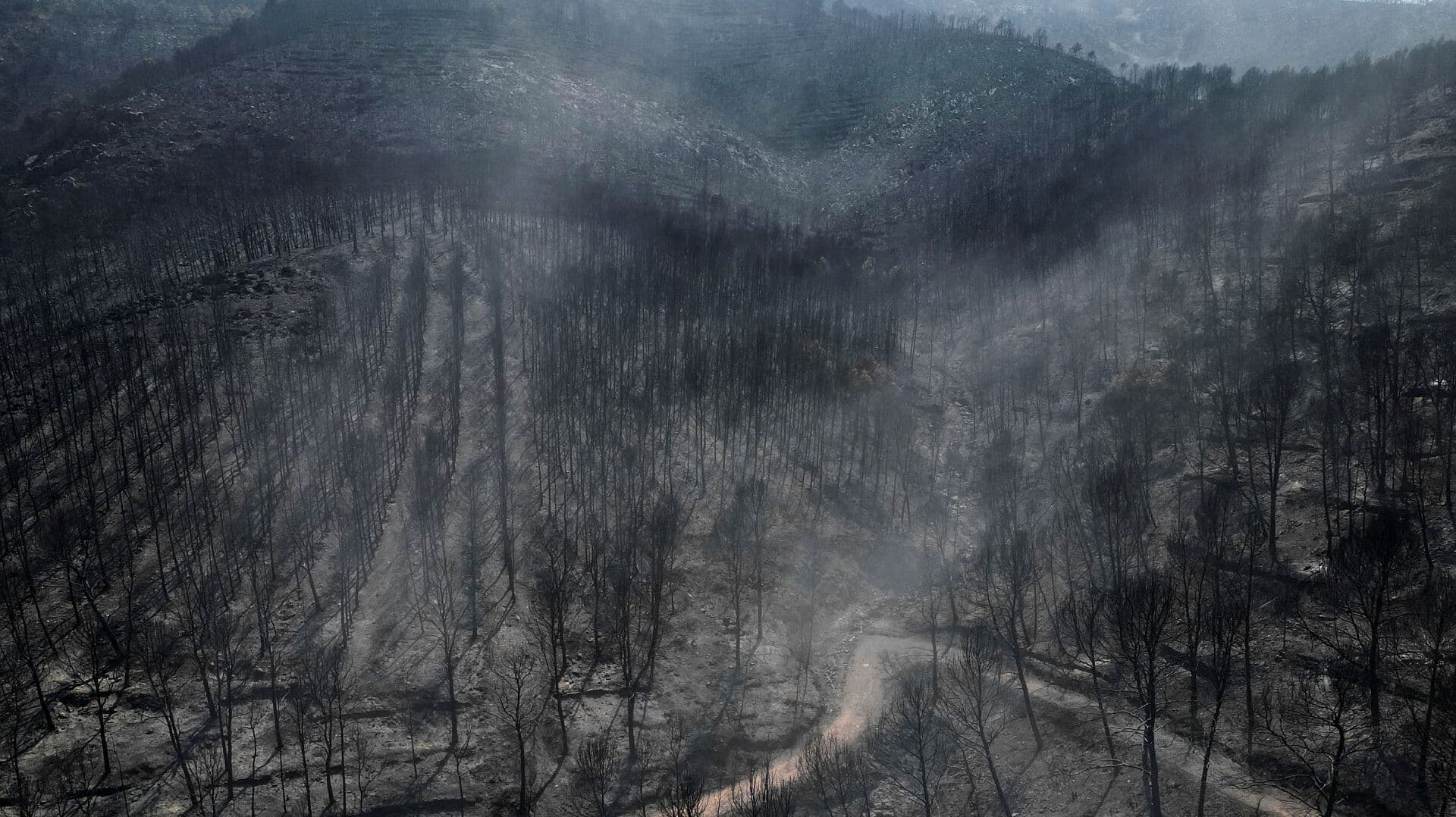 Devastación Total: Así se Ven Desde el Aire los Incendios que Arrasan con España