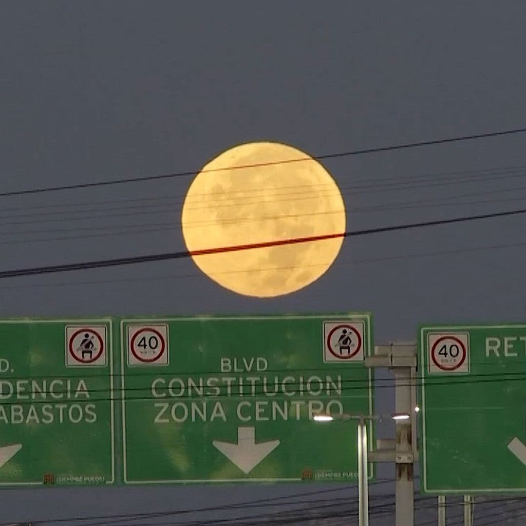 ¿Cuándo y a Qué Hora Podrás Ver la 'Luna del Ciervo' en Torreón?