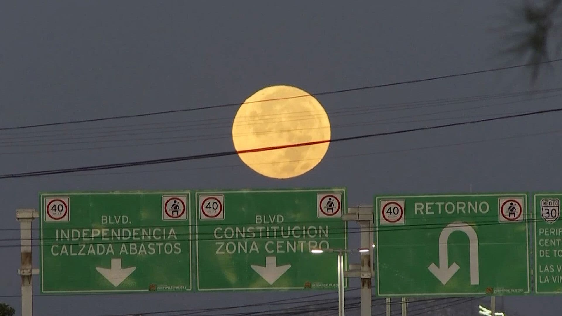 ¿Cuándo y a Qué Hora Podrás Ver la "Luna del Ciervo" en Torreón?