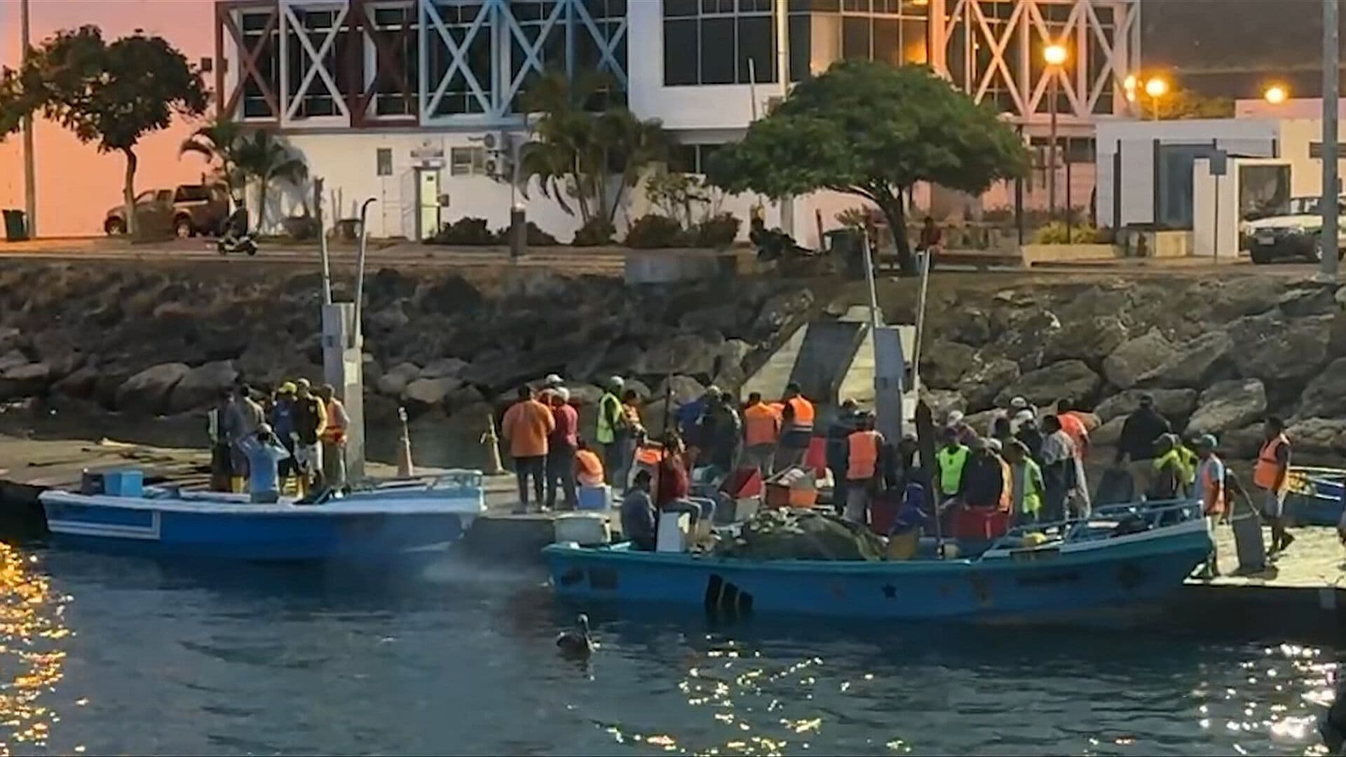 Operativos de EUA contra el Narco Han Provocado Decenas de Muertos y Desaparecidos en el Mar