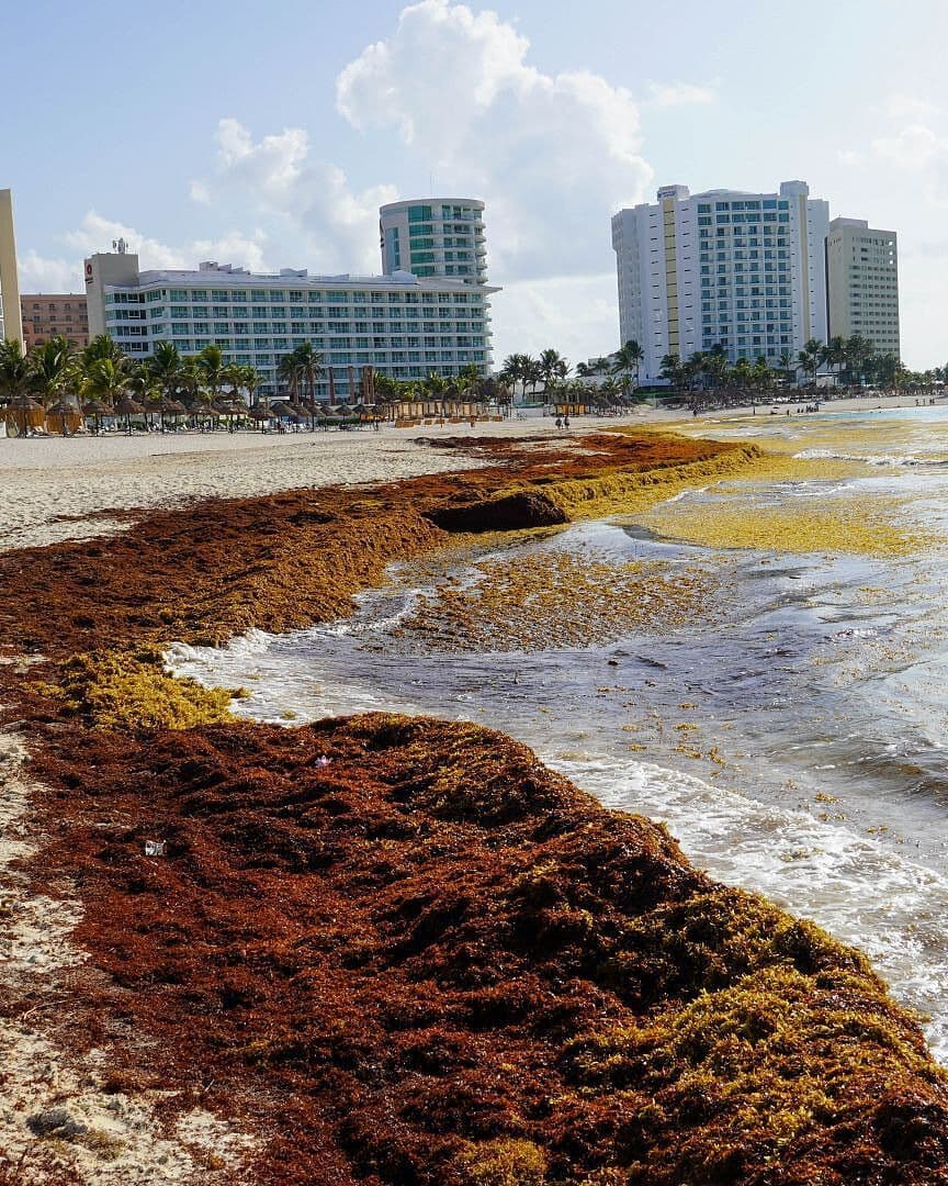 Vacaciones de Verano 2026: Playas No Aptas para Nadar