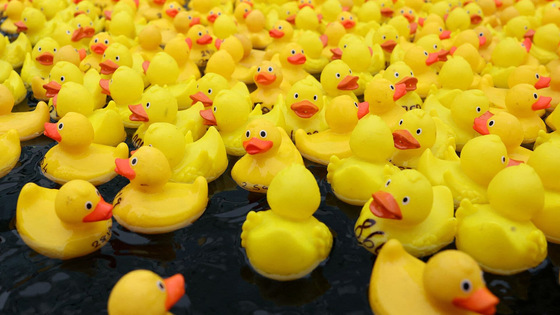 VIDEO | Así se Vivió la Carrera de Patitos de Hule en Londres