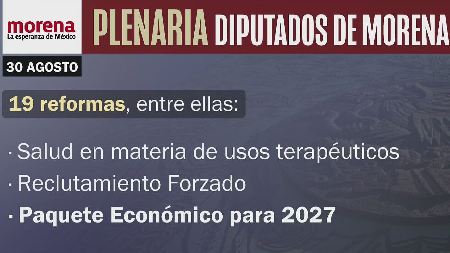 Plenaria de Morena: ¿Qué Reformas Promoverán los Diputados?