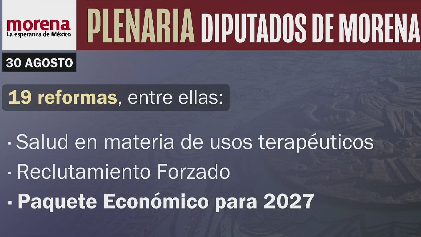 Plenaria de Morena: ¿Qué Reformas Promoverán los Diputados?