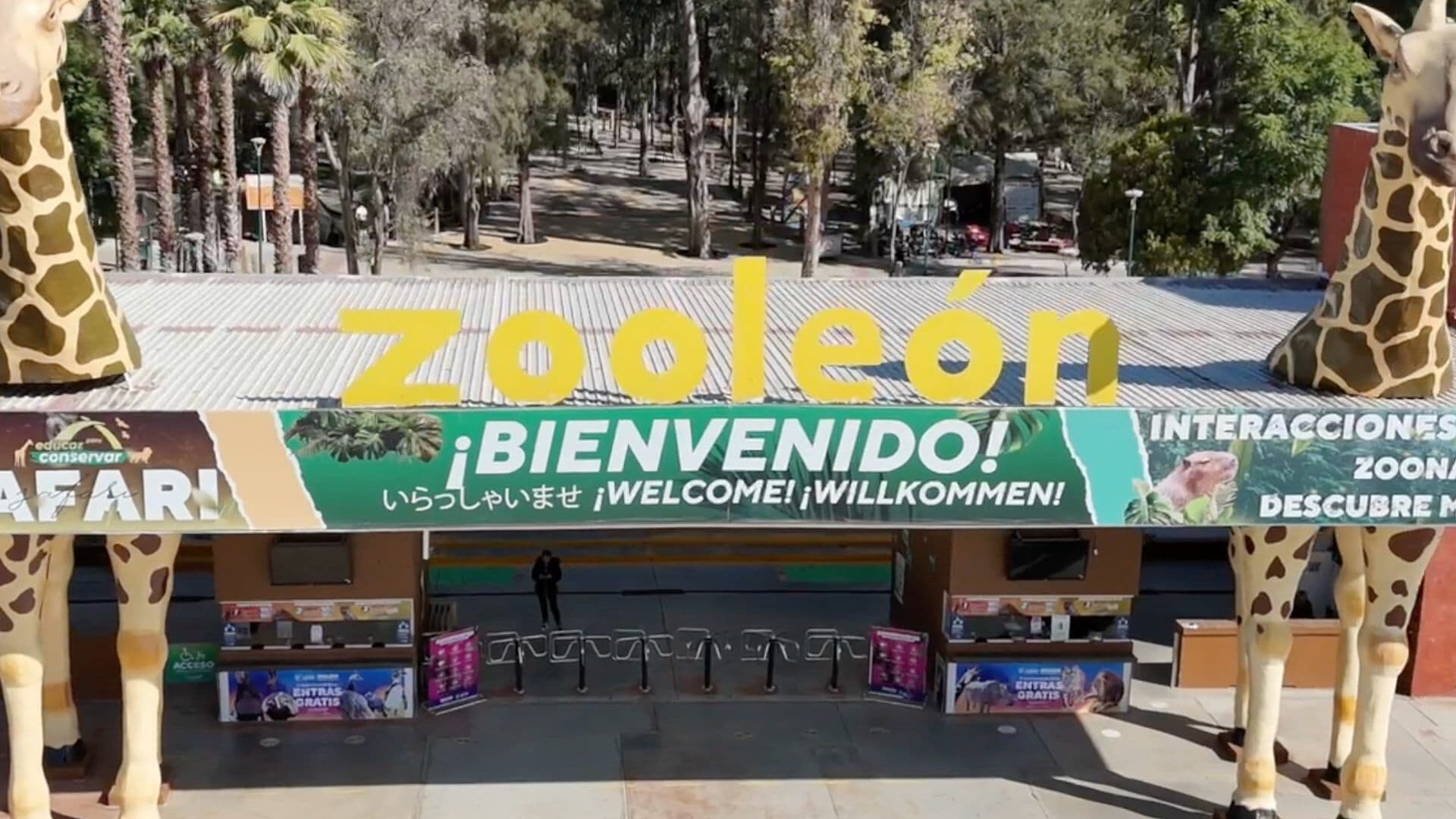 Cuarenta Animales Muertos se Han Registrado Este 2026 en el Zoológico de León