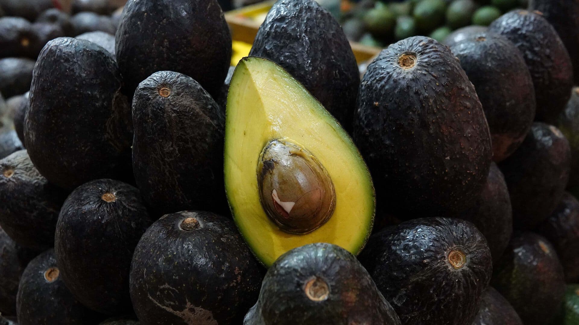 Día Mundial del Aguacate: ¿Cuáles son sus Beneficios y Cuánto Debes Consumir al Día?