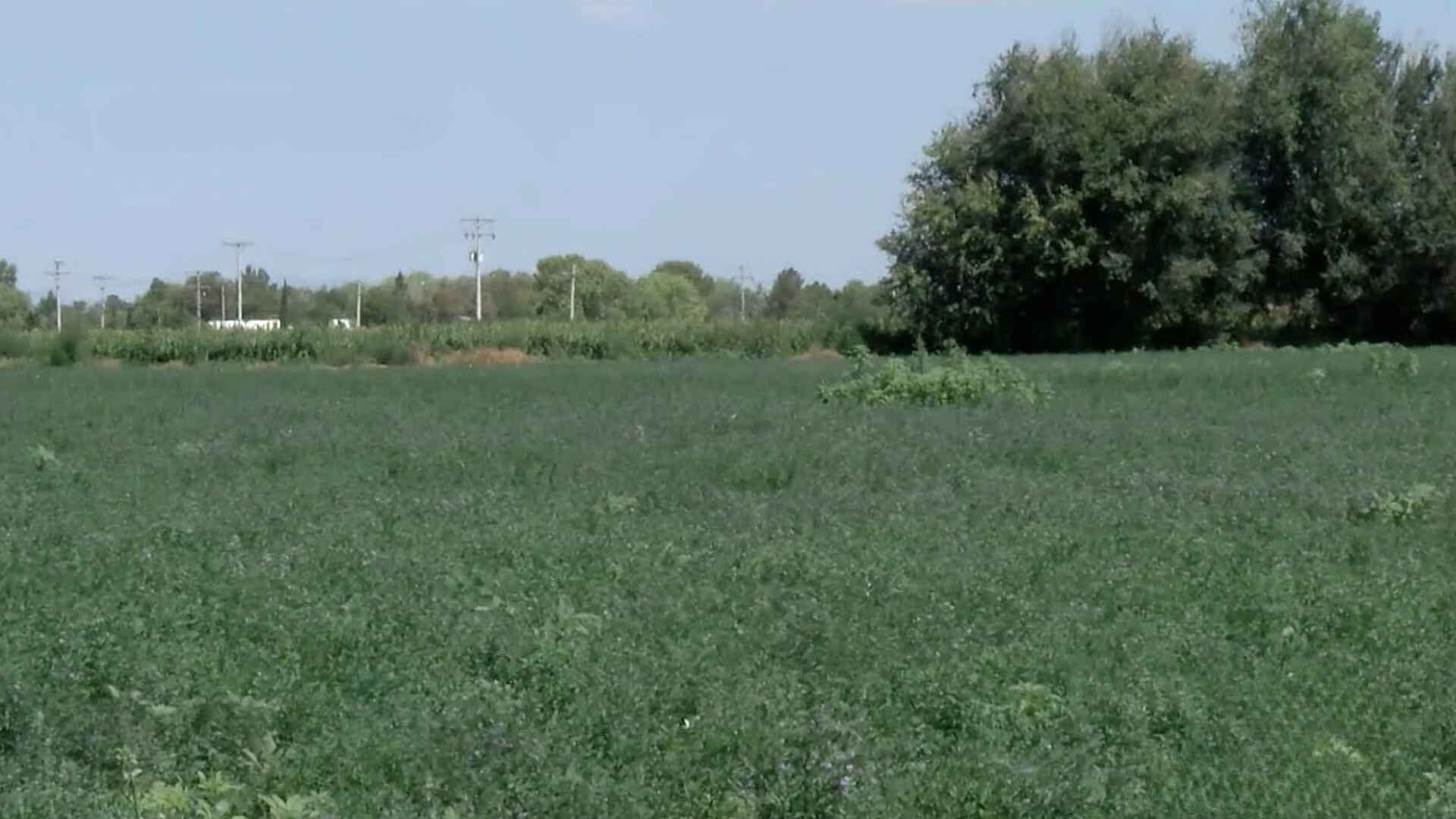 Agricultores de Ciudad Juárez Denuncian Falta de Agua Para Sembrar