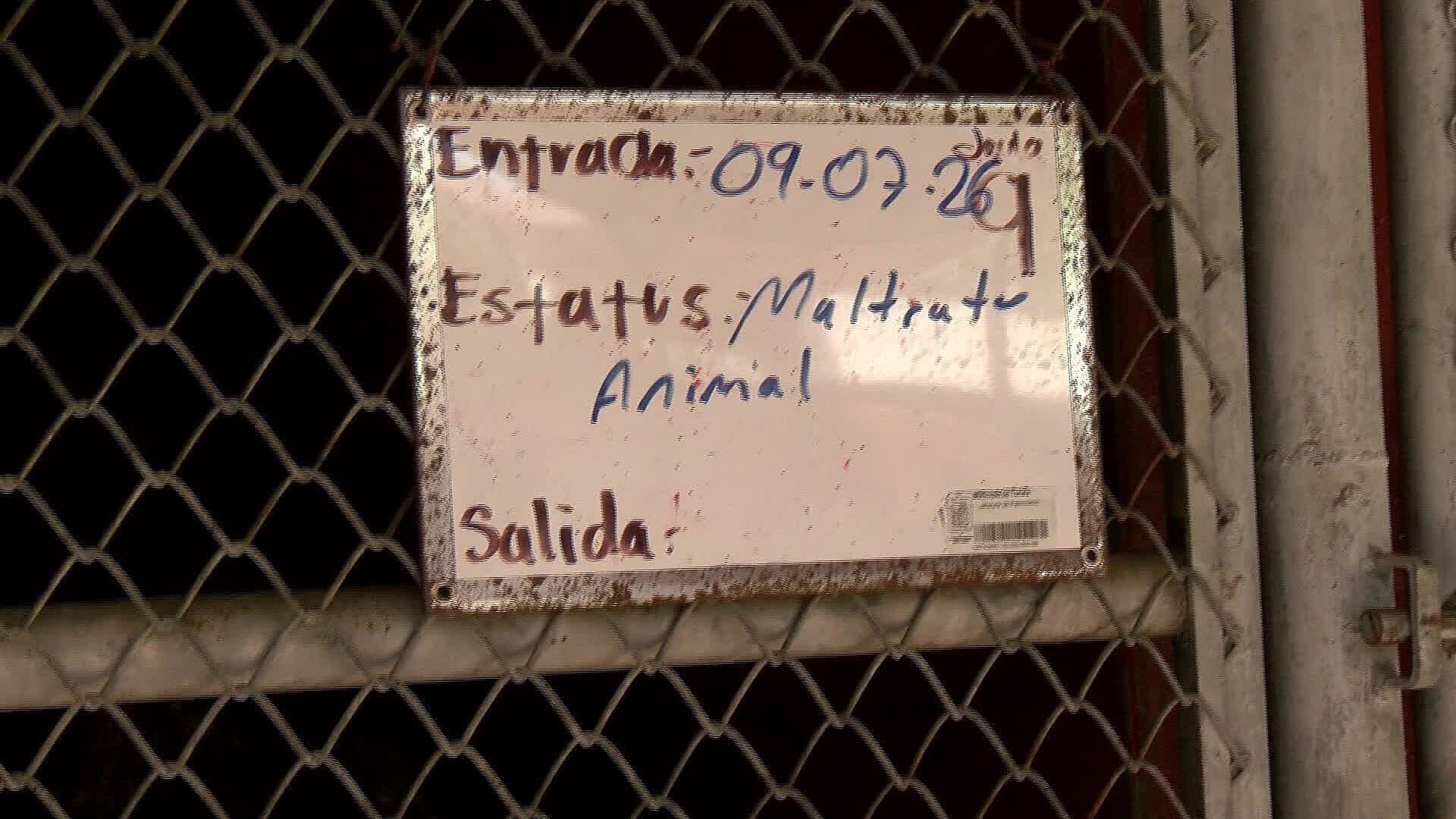 Jalisco Suma 132 Investigaciones por Crueldad Animal en lo que va del Año