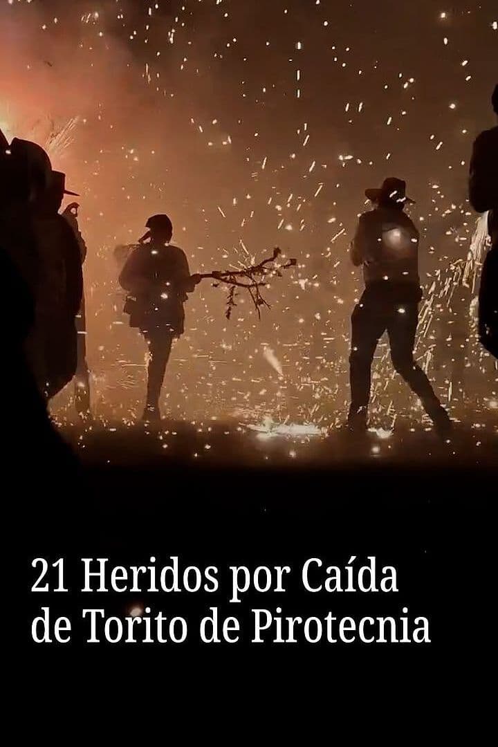 21 Heridos por Caída de Torito de Pirotecnia