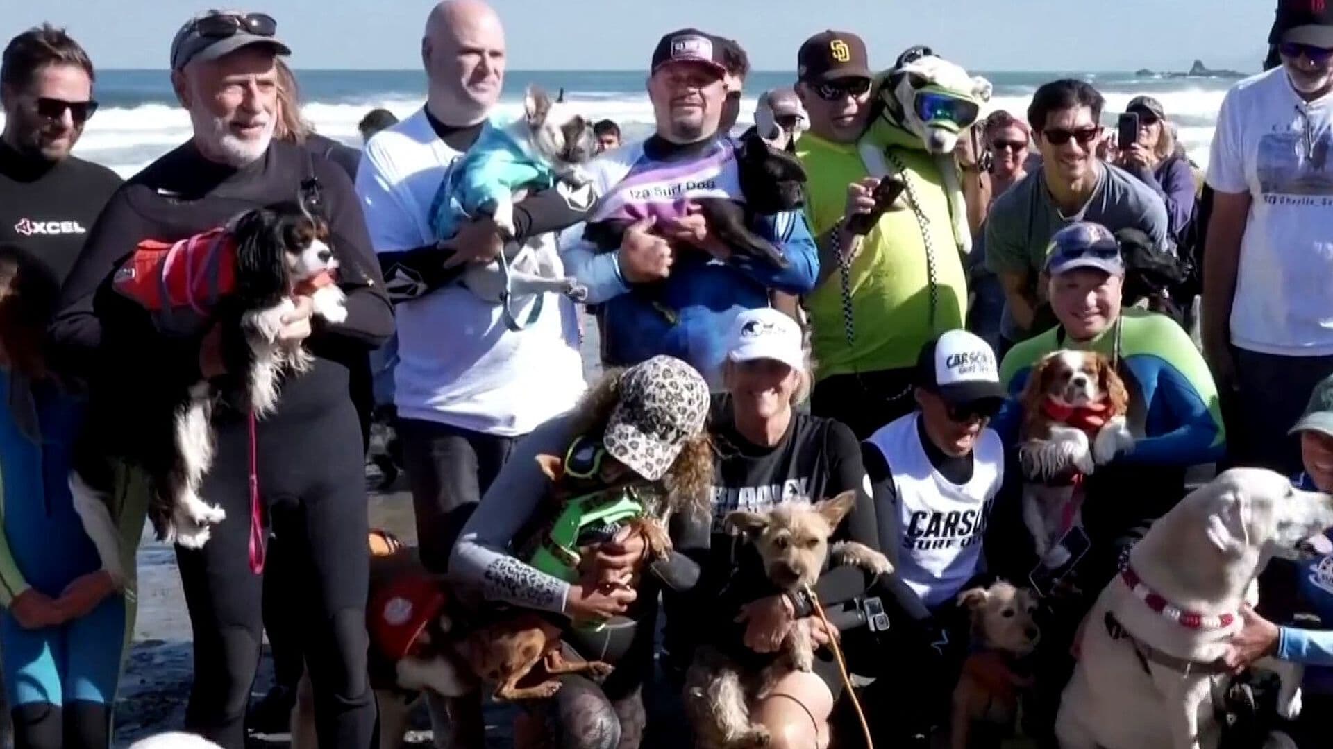 Perritos Surfean en Pacifica, California, Durante el Décimo Campeonato de Surf Canino