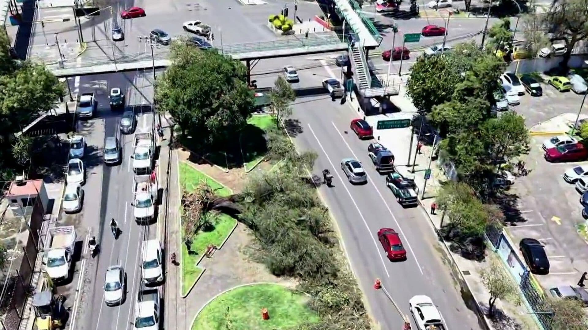 Lluvia con Granizo en Gustavo A. Madero Derribó al Menos 90 Árboles en la CDMX