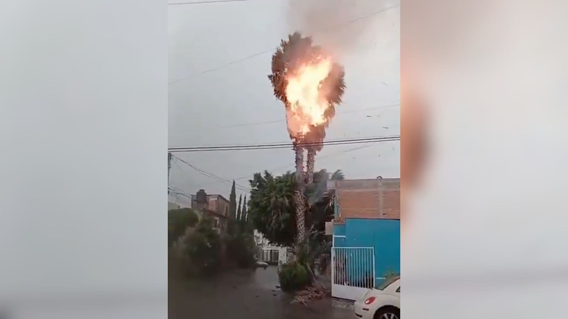 Rayo Incendió Palmera Durante Tormenta en Colonia Juan Sarabia, San Luis Potosí
