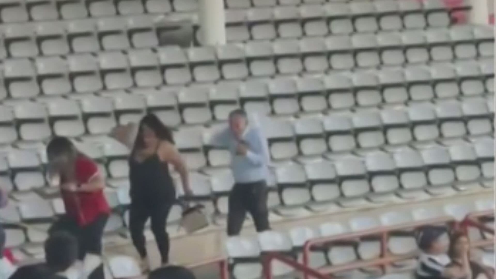 VIDEO | Abejas Atacan en Pleno Partido de Beisbol en Parral, Chihuahua