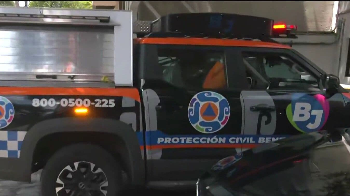 Bomberos Intentan Rescatar a un Tlacuache que Ingresó a Sucursal Bancaria en la Doctores, CDMX