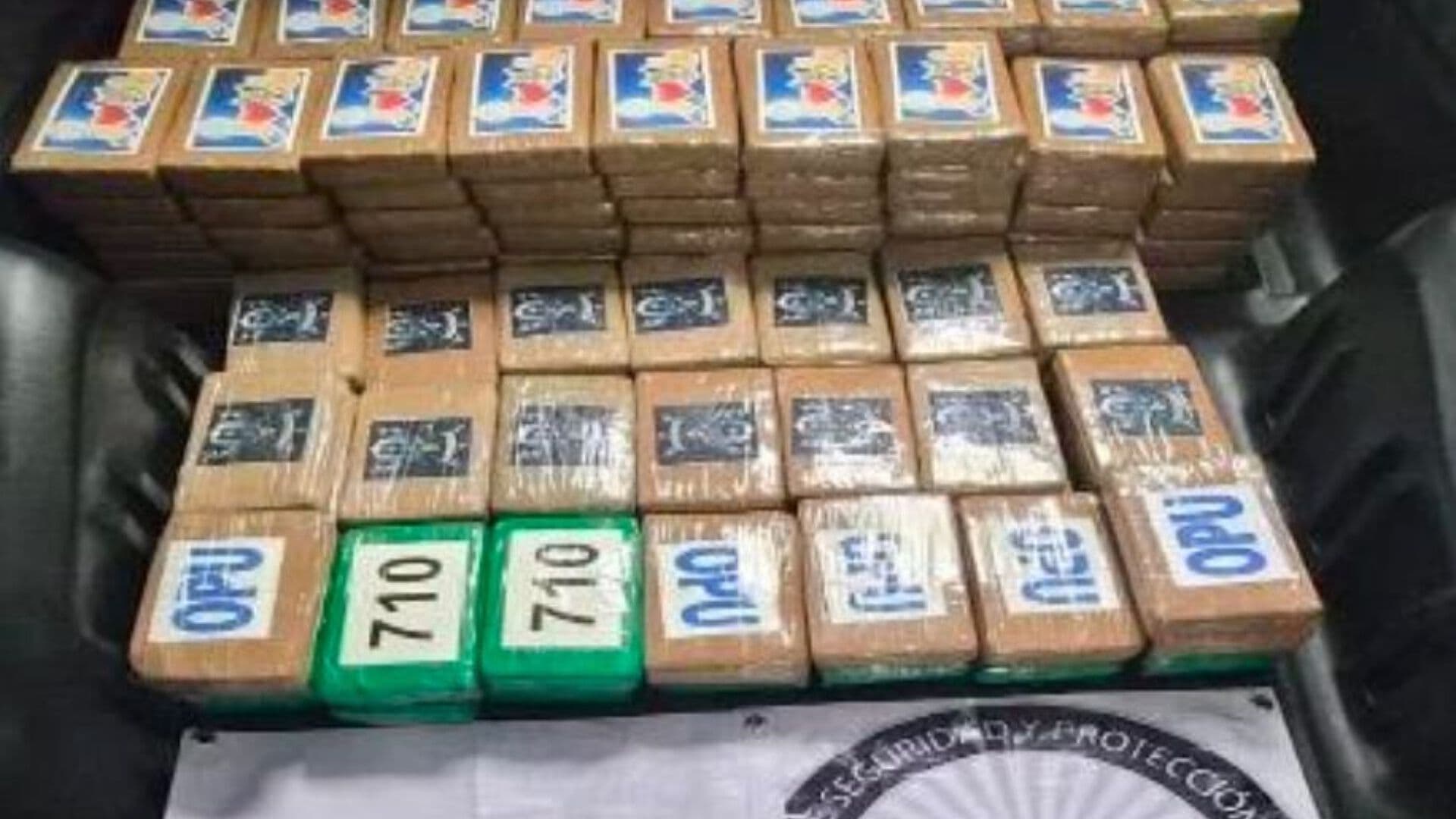 Detención de Hombre que Trasladaba 217 Kilos de Cocaína; Así fue Operativo en Tlalpan