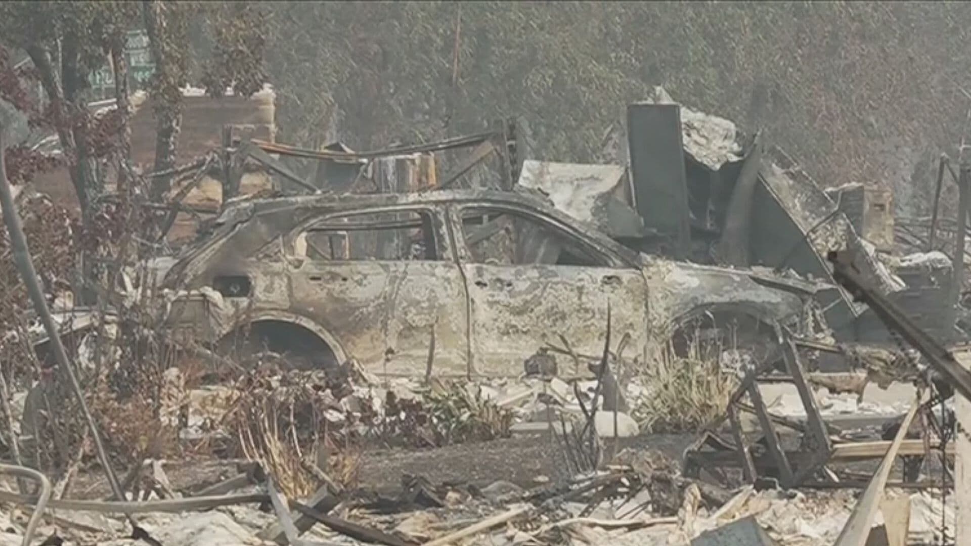 Arrestan a Sospechoso de Provocar Incendio Forestal en Washington, EUA