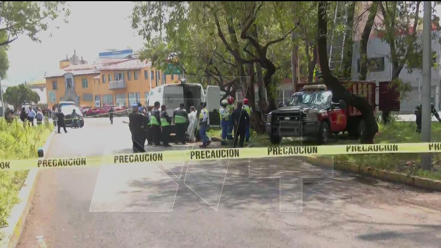Cierran Insurgentes por Rescate de Persona Hallada sin Vida en lo Alto de un Árbol