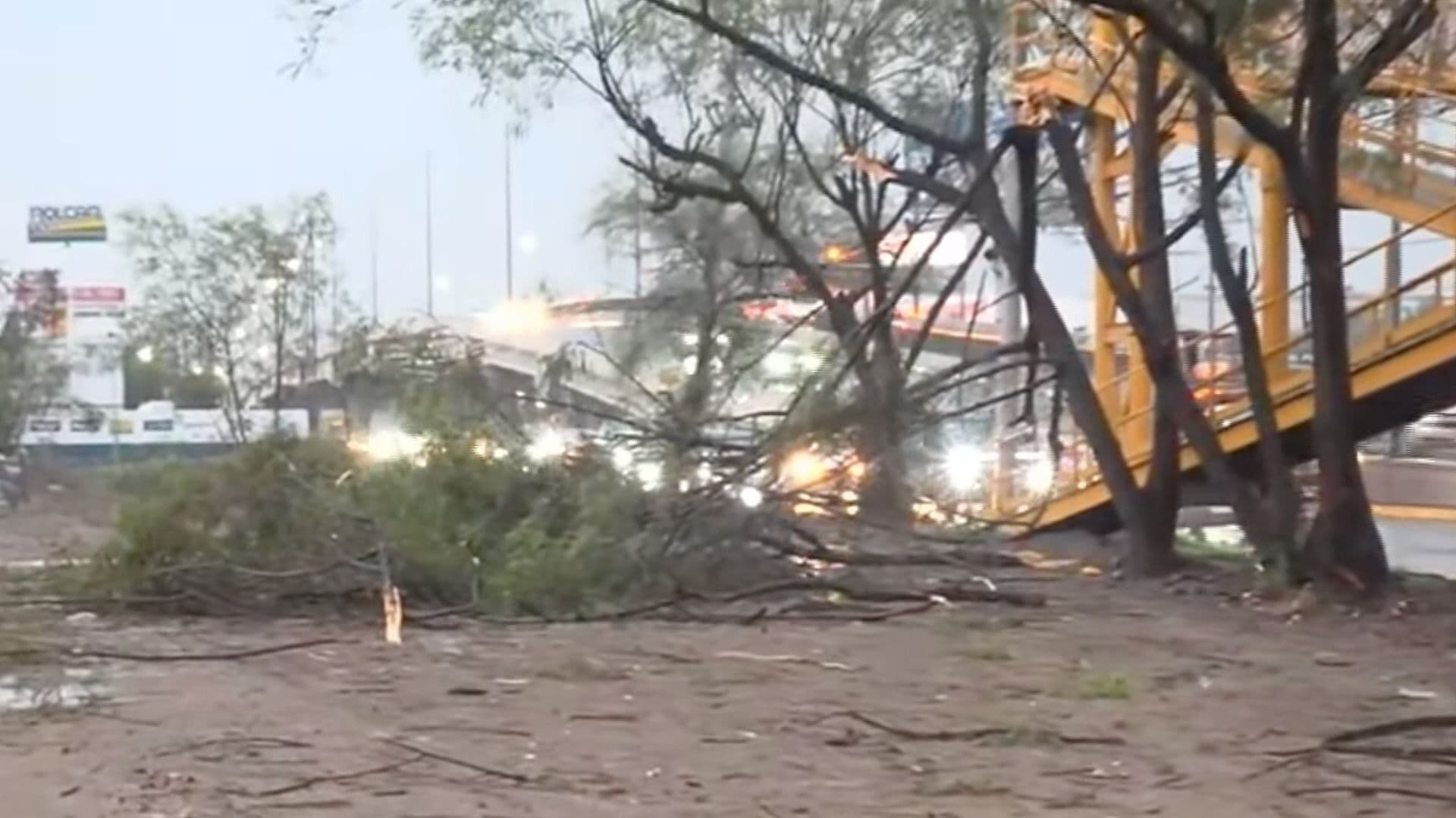 Tormenta Deja Postes y Árboles Caídos en Escobedo, Nuevo León
