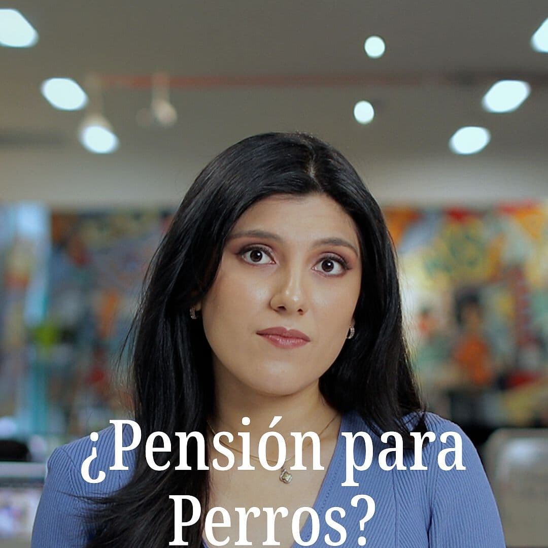 ¿Pensión alimenticia para perros?