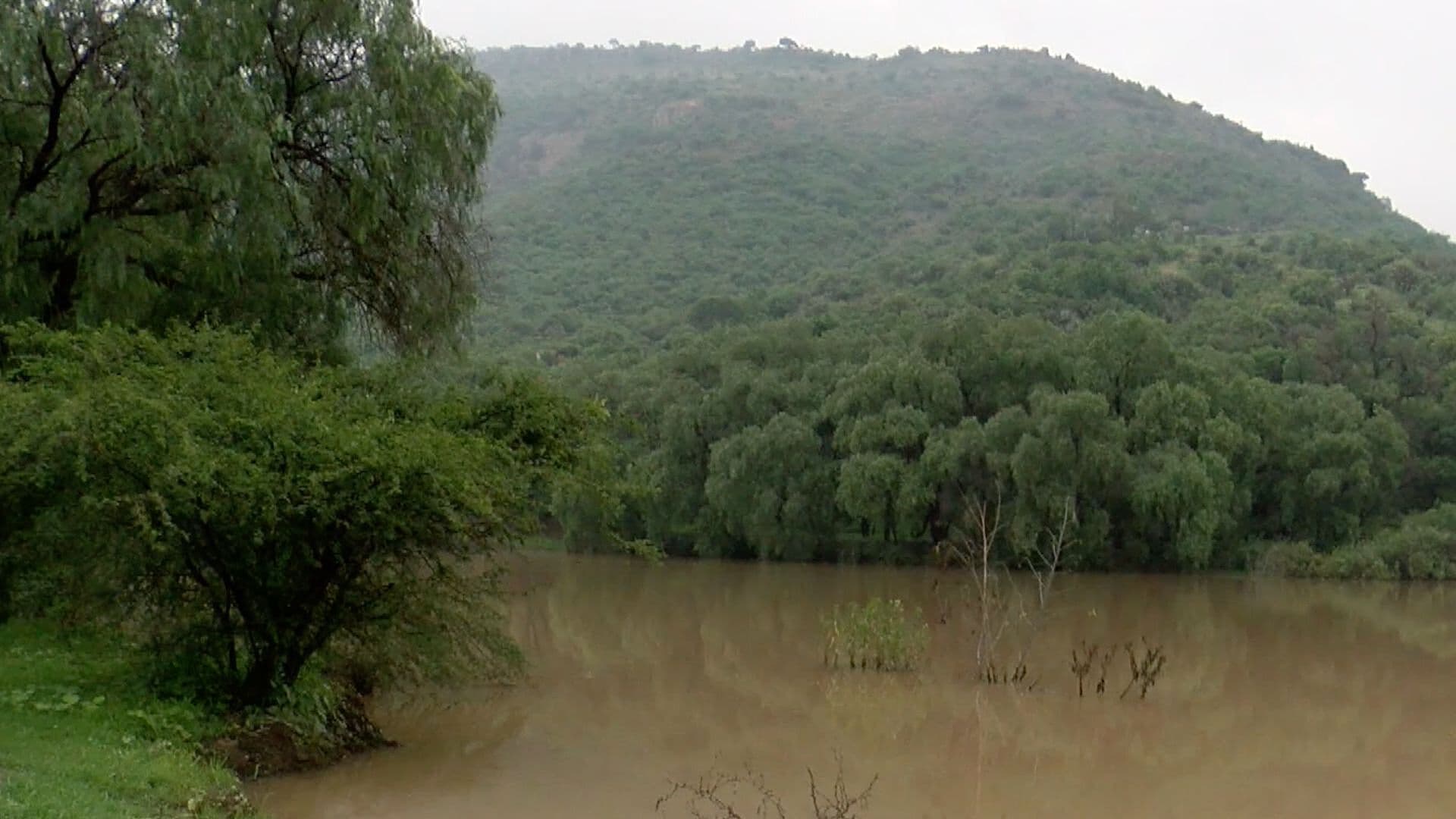 En Guanajuato el Panorama Hídrico es Desalentador por Falta de Lluvias