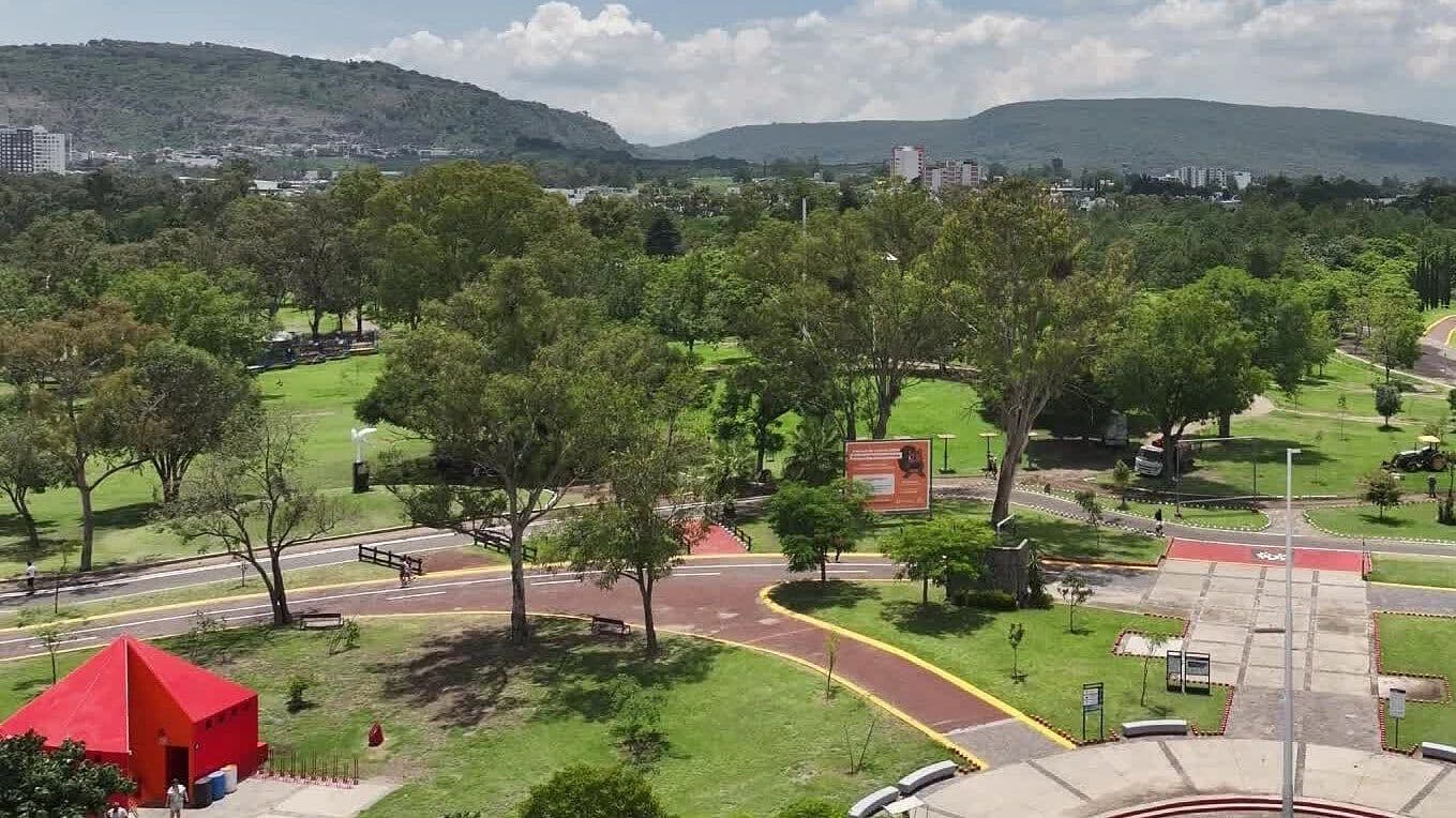 Plantarán 250 Mil Árboles en Jalisco este 2026