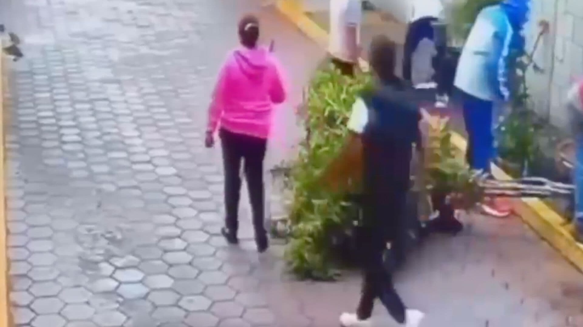Video Tala Clandestina Retiro Árboles Vía Pública sin Permisos Teolocholco Tlaxcala