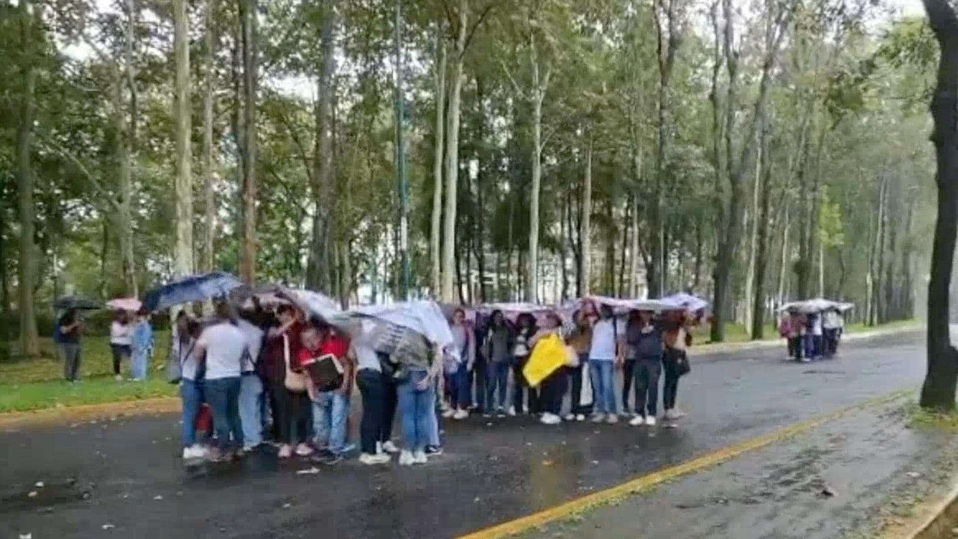 Docentes de la UPAV Bloquean Avenida de Xalapa; Exigen Pago de Salarios