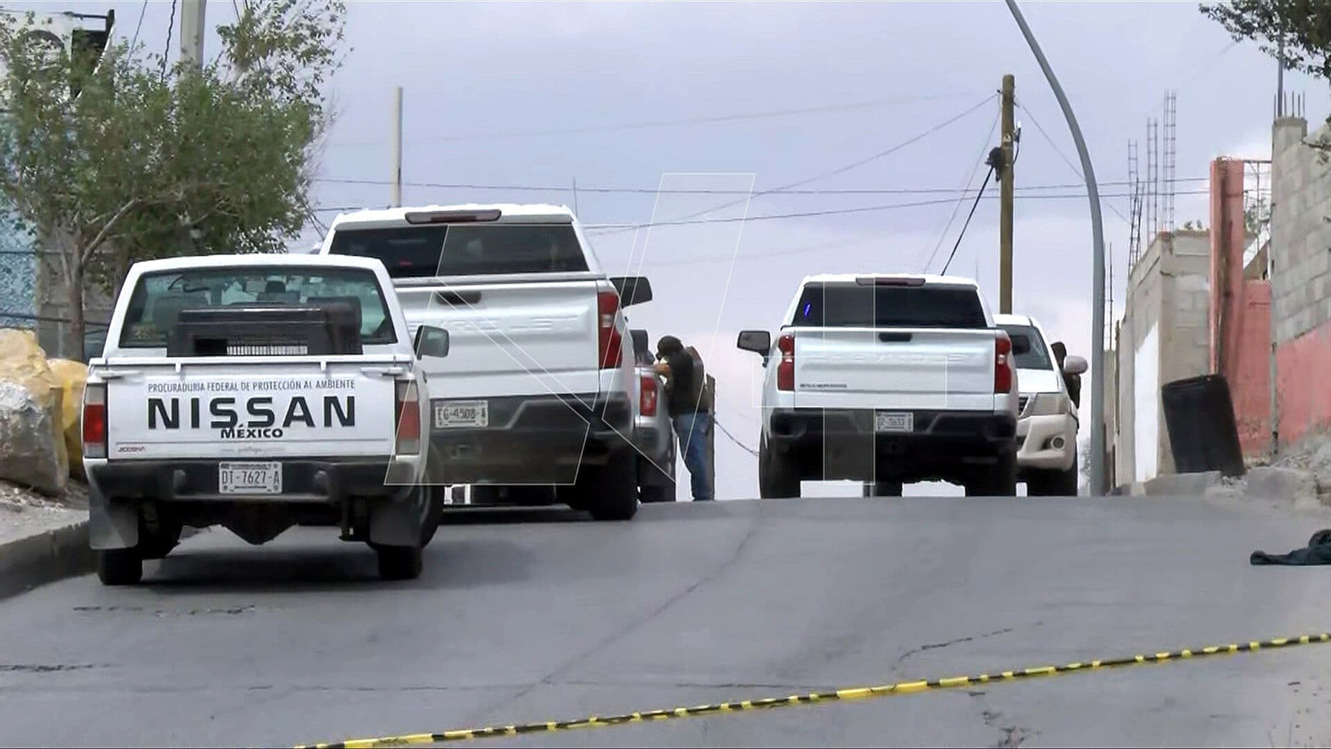 Catean Autolavado en Ciudad Juárez y Encuentran un Tigre y Varios Lagartos