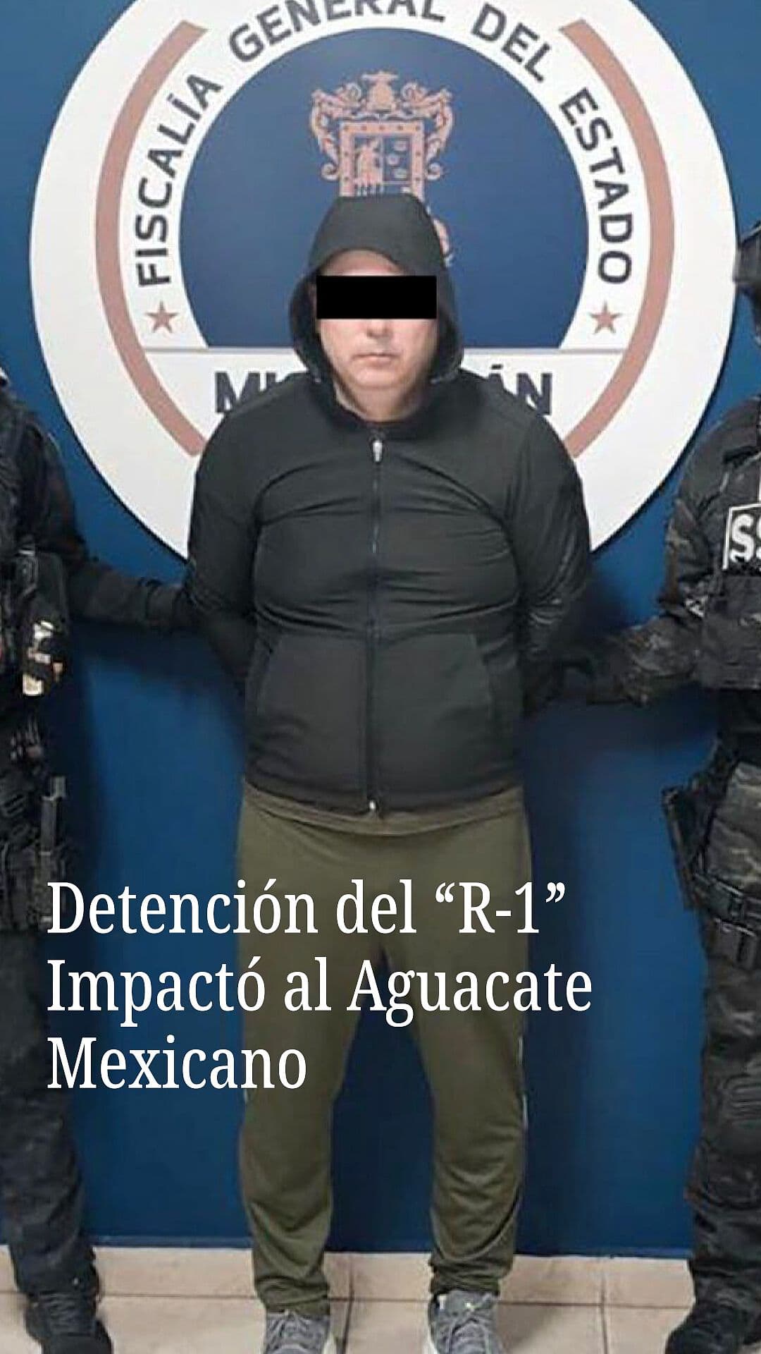 Detención del 'El R-1' Impactó al Aguacate Mexicano