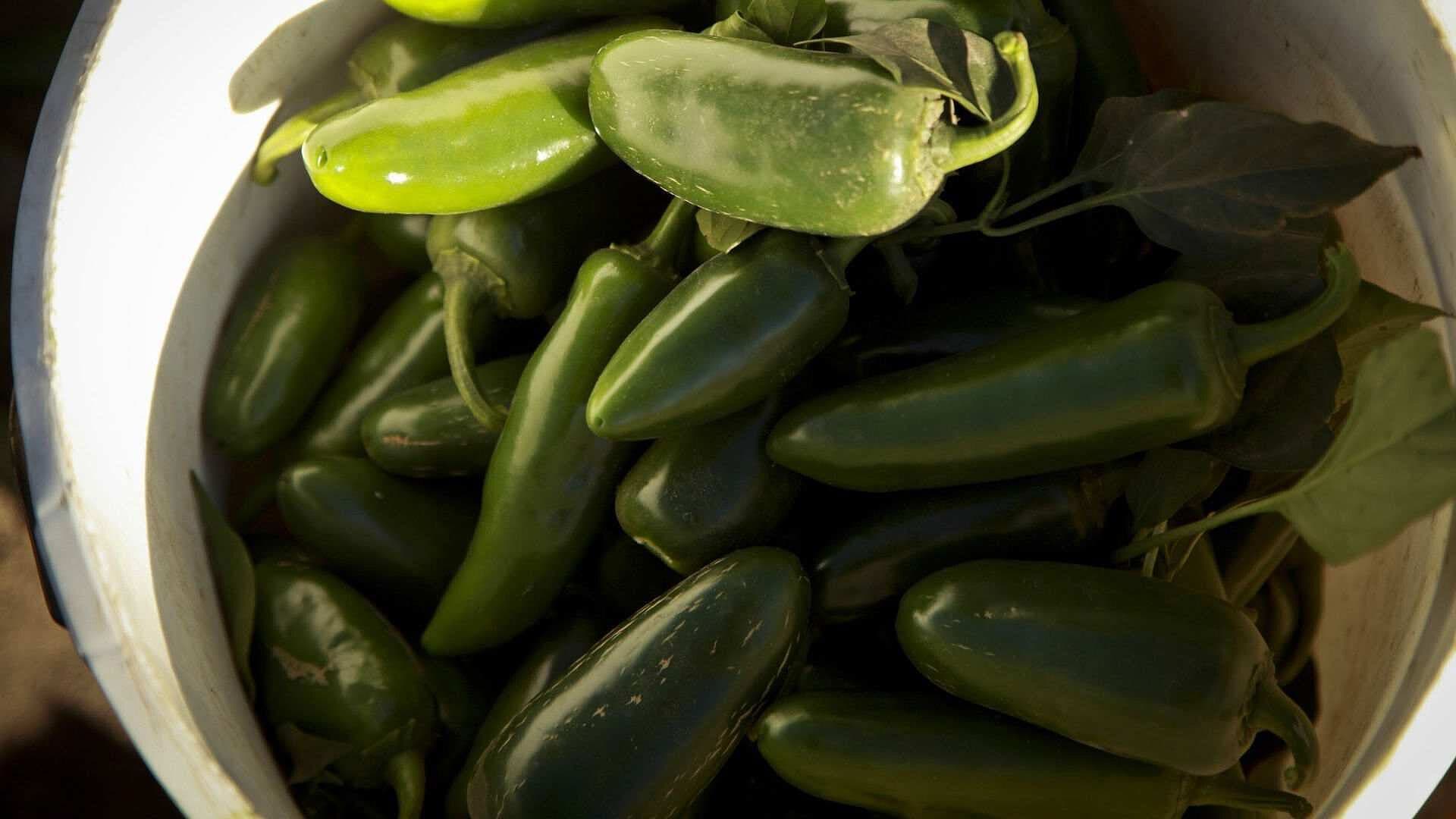 EUA Advierte Brote de Salmonella Activo Presuntamente por Chiles Jalapeños de Sinaloa